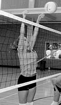 Photo of Volleyball Game